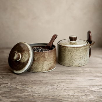 Speckled Ceramic Salt Cellar with Wooden Spoon, 8.45 oz, 2-Pack